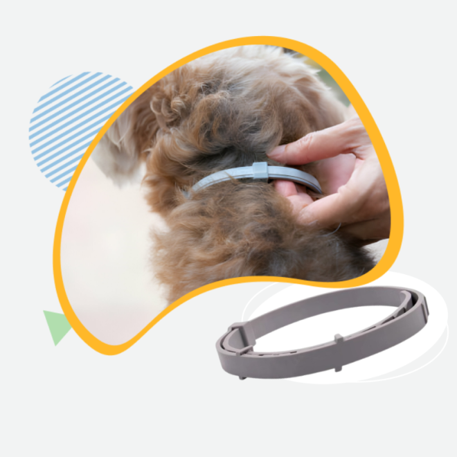 Fur Sweep Collars